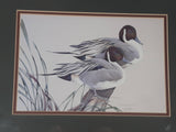 Ducks Unlimited Artist Art Lamay "Pintail Pals" 11" x 13" Framed Wildlife Art Print