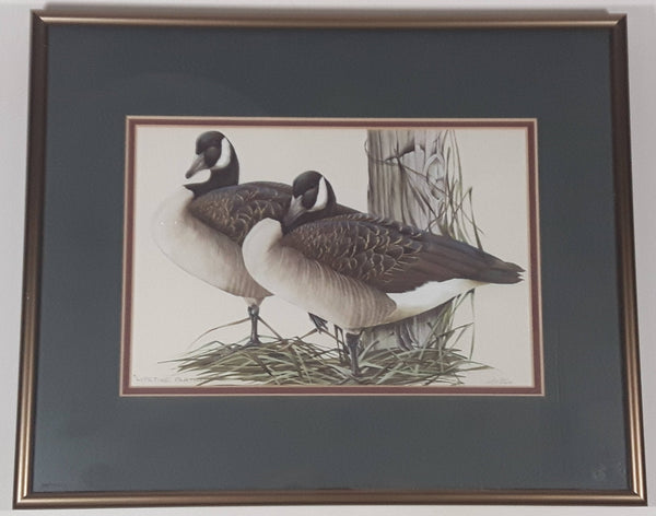 Ducks Unlimited Artist Art Lamay "Lifetime Partners" 11" x 13" Framed Wildlife Art Print