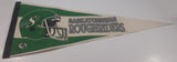 1995 AMK Sports Souvenirs Saskatchewan Roughriders CFL Football Team Full Size 30" Long Felt Pennant