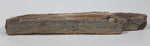 Very Nicely Detailed Specimen of Ancient Petrified Wood 8" Long