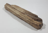 Very Nicely Detailed Specimen of Ancient Petrified Wood 8" Long