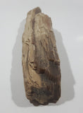 Very Nicely Detailed Specimen of Ancient Petrified Wood 8" Long