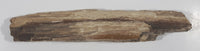 Very Nicely Detailed Specimen of Ancient Petrified Wood 8" Long