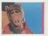 1987 Topps Chewing Gum Alien Productions Alf Trading Cards 69 Card + 18 Stickers Full Set