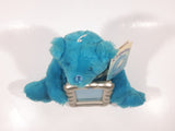Hallmark Birthstone Bears December Birthstone "Turquoise" 8" Tall Teddy Bear Stuffed Animal Plush Picture Photo Frame with Tags
