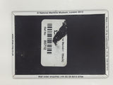 Prime Meridian Of The World 2 1/8" x 3 1/8" Fridge Magnet
