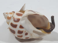 Sea Shell Mouse 1 3/4" Long Folk Art Figure