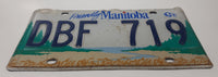 Friendly Manitoba Blue Bison Metal Vehicle License Plate Tag DBF 719