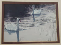 Vintage Robert Bateman Evening Idyll White Swans 12 3/8" x 14 3/8" Framed Painting Print